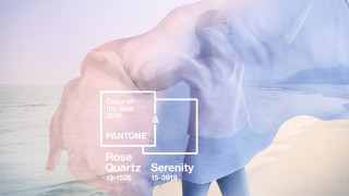 Woman beach ocean pantone poster - her back free wallpaper