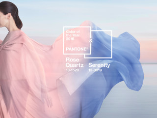 Woman pink dress pantone color - elsa bleda free wallpaper