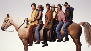 Group people riding brown horse - free dogs wallpaper