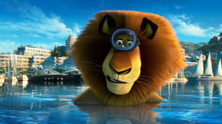 Lion glasses cartoon boats city - a pair of glasses free wallpaper