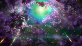 Colorful tree purple flowers green - a green light in the middle free wallpaper