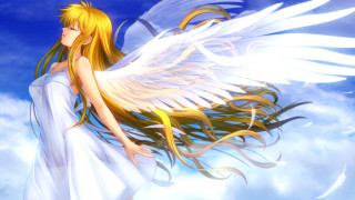 Woman blonde hair white wings - white wing free wallpaper