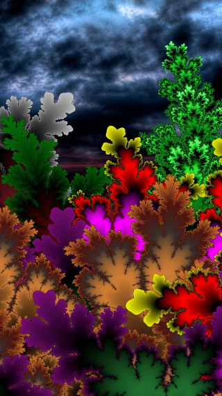 Flowers night sky clouds digital - the night sky free wallpaper