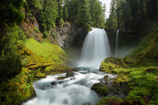 Waterfall cascading forest green grass - green grass and trees free wallpaper