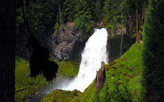 Waterfall forest nature trees background - a waterfall in the middle of a forest free wallpaper
