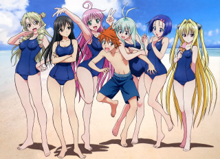 Beach group women bathing suits - suit free wallpaper