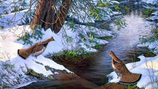 Birds snowy bank stream woods - douglas robertson bisset free wallpaper