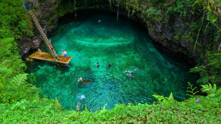 Swimming group blue lagoon jungle - aquirax uno free wallpaper for desktop