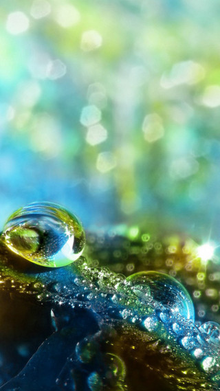 Water droplet leaf bokeh bubbles - a leaf free wallpaper