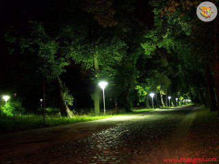 Night park path lights trees - tonalism free wallpaper for desktop