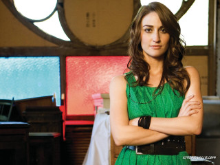 Woman green dress arms crossed - ashcan school free wallpaper