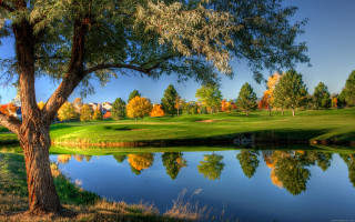 Golf course pond trees background - a golf course free wallpaper