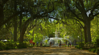 Park fountain trees people tiltshift - a park free wallpaper