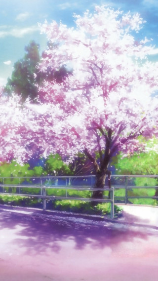 Tree park fence bench foreground - a matte painting free wallpaper