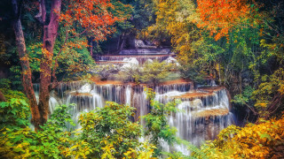 Waterfall woods trees leaves ground - impressionist free wallpaper
