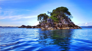 Small island ocean trees water - a small island in the middle of the ocean free wallpaper