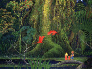Forest man woman standing middle - the middle of the forest free wallpaper
