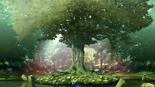 Tree forest pond rocks painting - ufotable free wallpaper