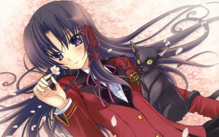 Woman long hair cat on - a woman free wallpaper