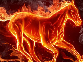 Horse running fire field flames 7 - a fire free wallpaper