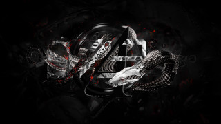 Black white snake red black - head and neck free wallpaper