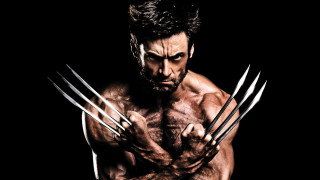 Bearded man claws wolverine staff - claw free wallpaper