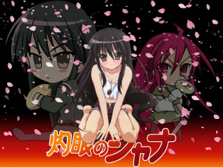Anime girls sitting petals falling - petal free wallpaper