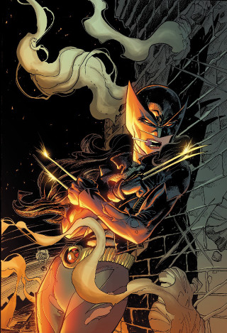 Batman cat comic cover yellow - autodestructive art free wallpaper