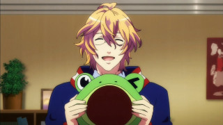 Person holding frog room plant - a person holding free wallpaper