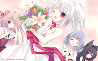 Anime girls flowers hair dresses - a group of anime girls free wallpaper