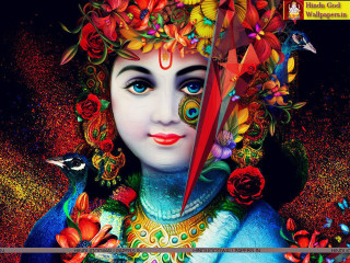 Woman bird head red beak - a red beak free wallpaper