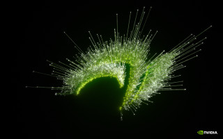 Green plant white spiky stems - a green circle free wallpaper