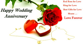 Red rose ring wedding anniversary - a white background free wallpaper