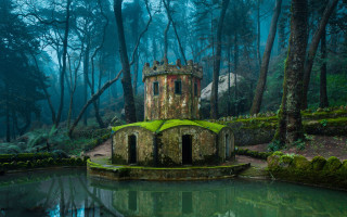 Small tower forest pond nature - free architecture wallpaper