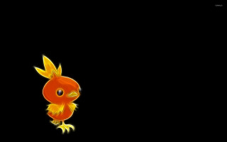 Red bird yellow feathers head - a red bird free wallpaper