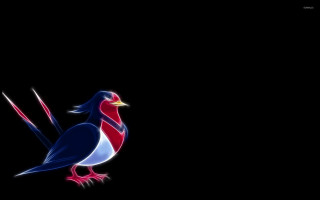 Bird red white blue tail - its back free wallpaper