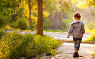 Young child walking path woods - a backpack free wallpaper