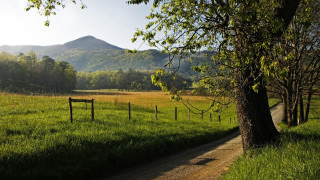 Dirt road grassy field fence - beautiful landscape free wallpaper