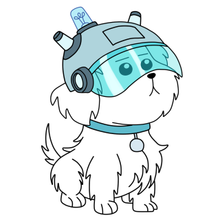 Dog helmet collar light head - a light free wallpaper