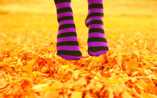 Person purple black striped socks - evaline ness free wallpaper