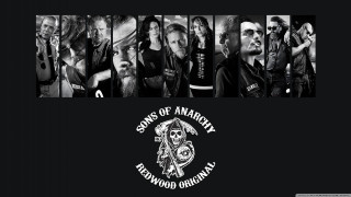 Bearded tattooed men group faces - their face free wallpaper