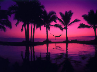 Hammock palm trees sunset purple 2 - david lachapelle free wallpaper