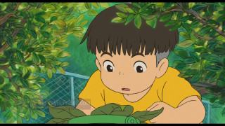 Boy looking green plant cartoon - a boy free wallpaper
