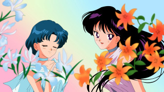 Anime girls long hair flowers - their hair free wallpaper