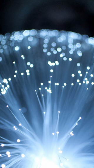 Blue flower white lights black - free new year wallpaper