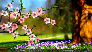 Tree pink flowers field blue - a painting of a tree free wallpaper