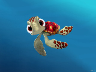 Cartoon turtle swimming ocean big - its back free wallpaper