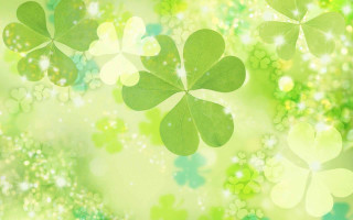Green background four leaf clovers 2 - a green background free wallpaper