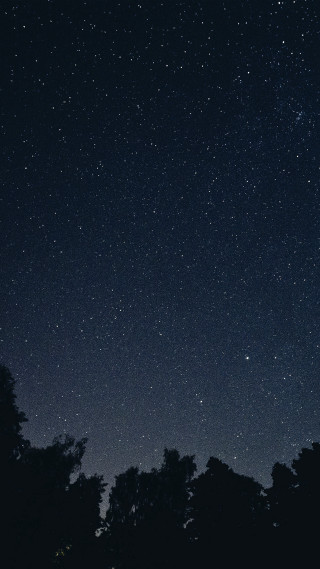Night sky stars trees foreground 5 - a dark sky free wallpaper
