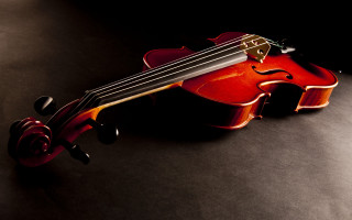 Violin rose black surface cinematic - a rose free wallpaper